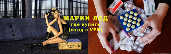 мет Ельня
