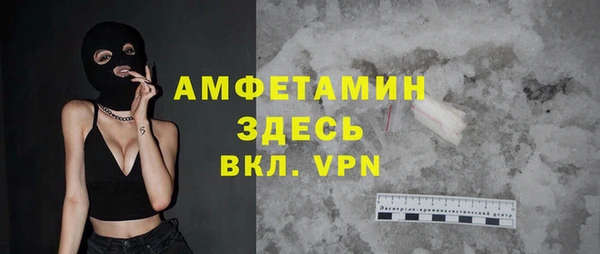мет Ельня