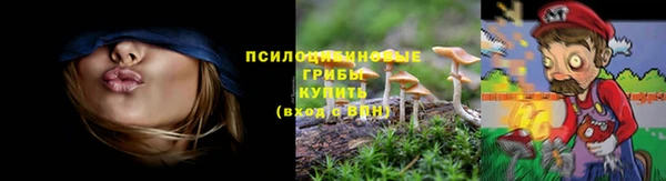 jwh Елабуга
