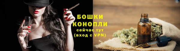 мет Ельня
