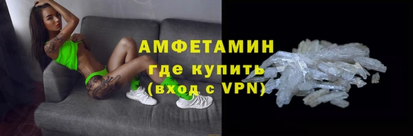 мет Ельня