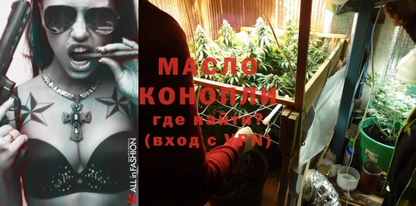 мет Ельня