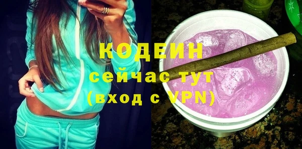 мет Ельня
