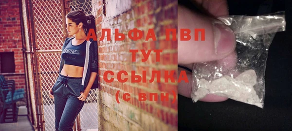 мет Ельня