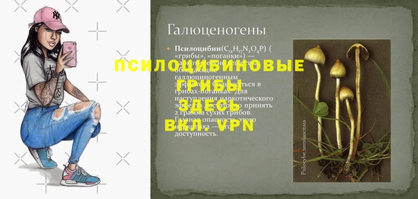 мет Ельня