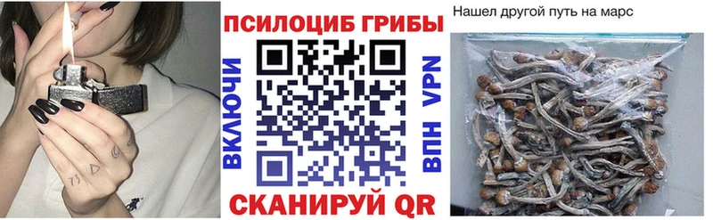 Купить  Кемь  Псилоцибиновые грибы прущие грибы 